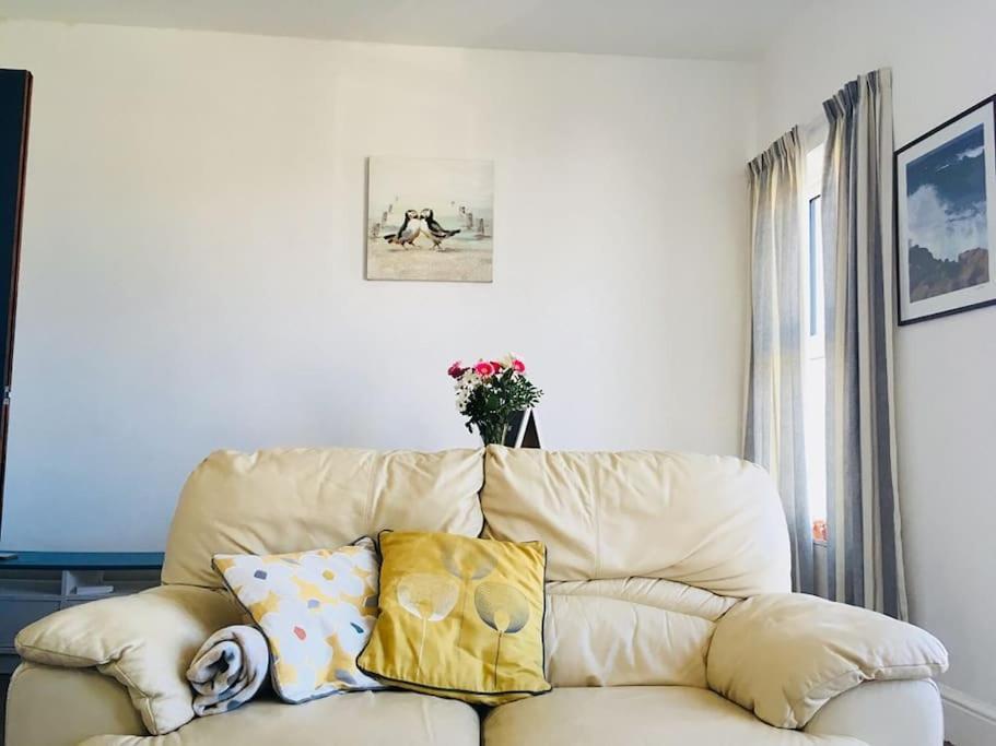 Hillcrest Cottage, Comfy Flat, Trendy Uplands Area Swansea Exterior foto